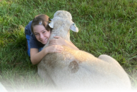 Girl with favorite Katahdin sheep - EBH Plantation