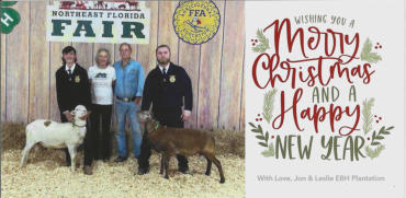Christmas & New Year's greeting from EBH Plantation