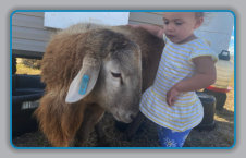 EBH Plantation - baby with sheep