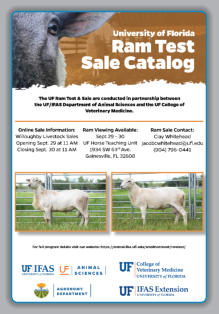 2021 University of Florida Ram Test Sale Catalog with our Ram Lambs